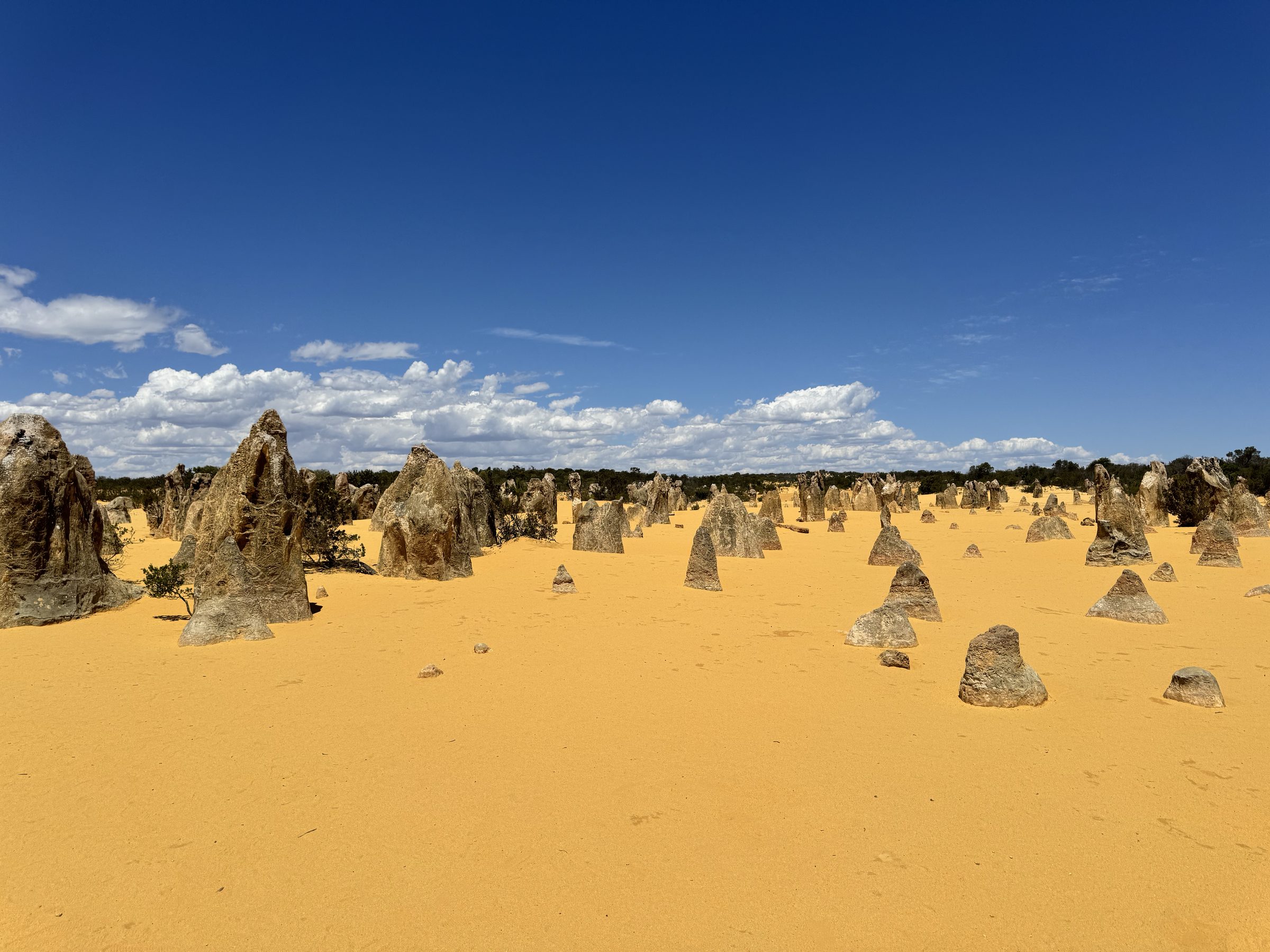 Limestone spires at the Pinnacles Desert